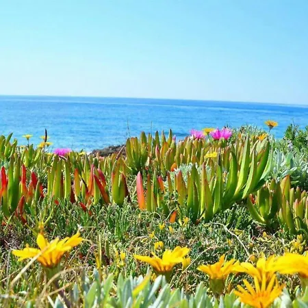A Due Passi Dal Mare Villa